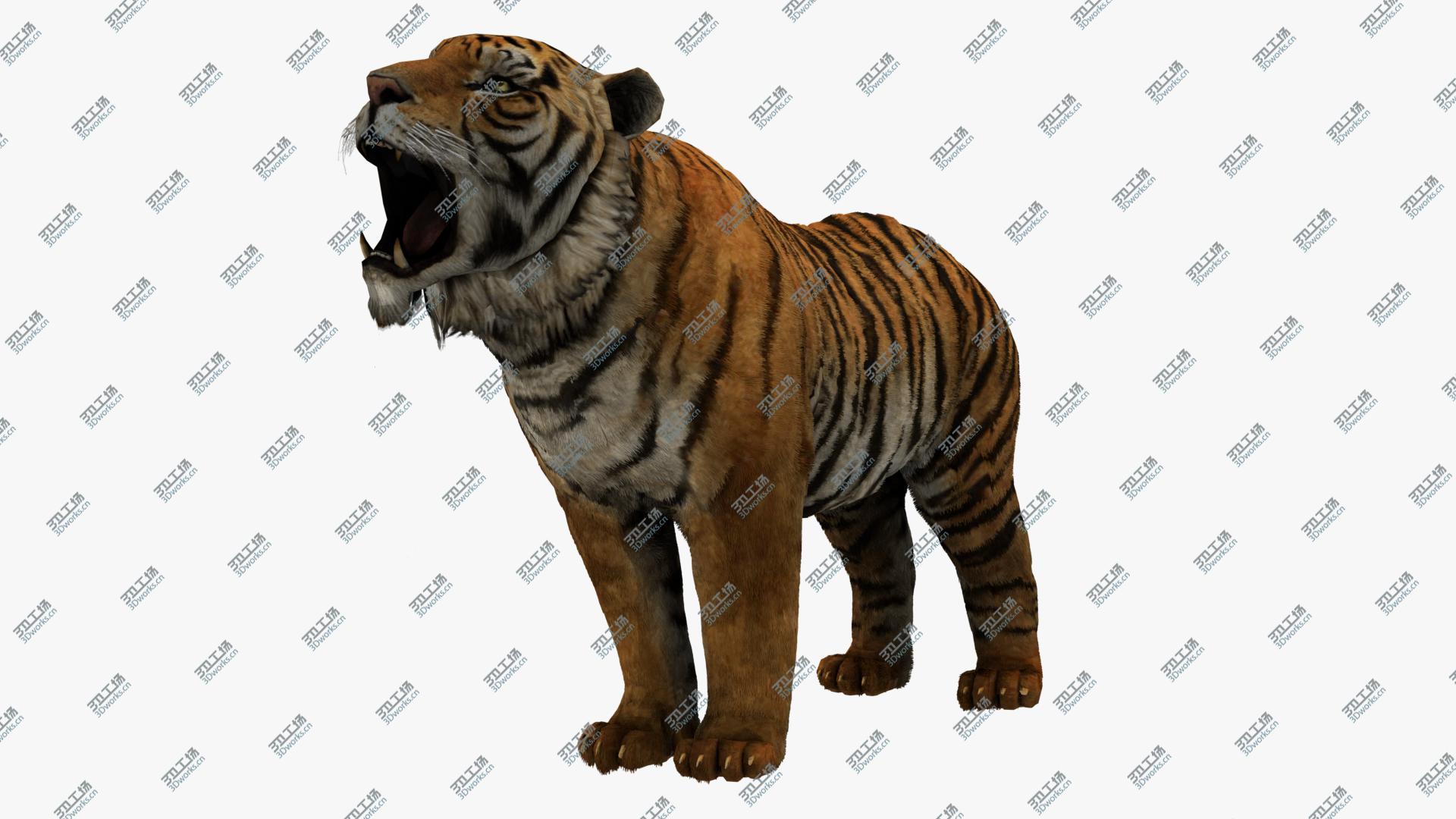 images/goods_img/202104093/3D Tiger model/1.jpg